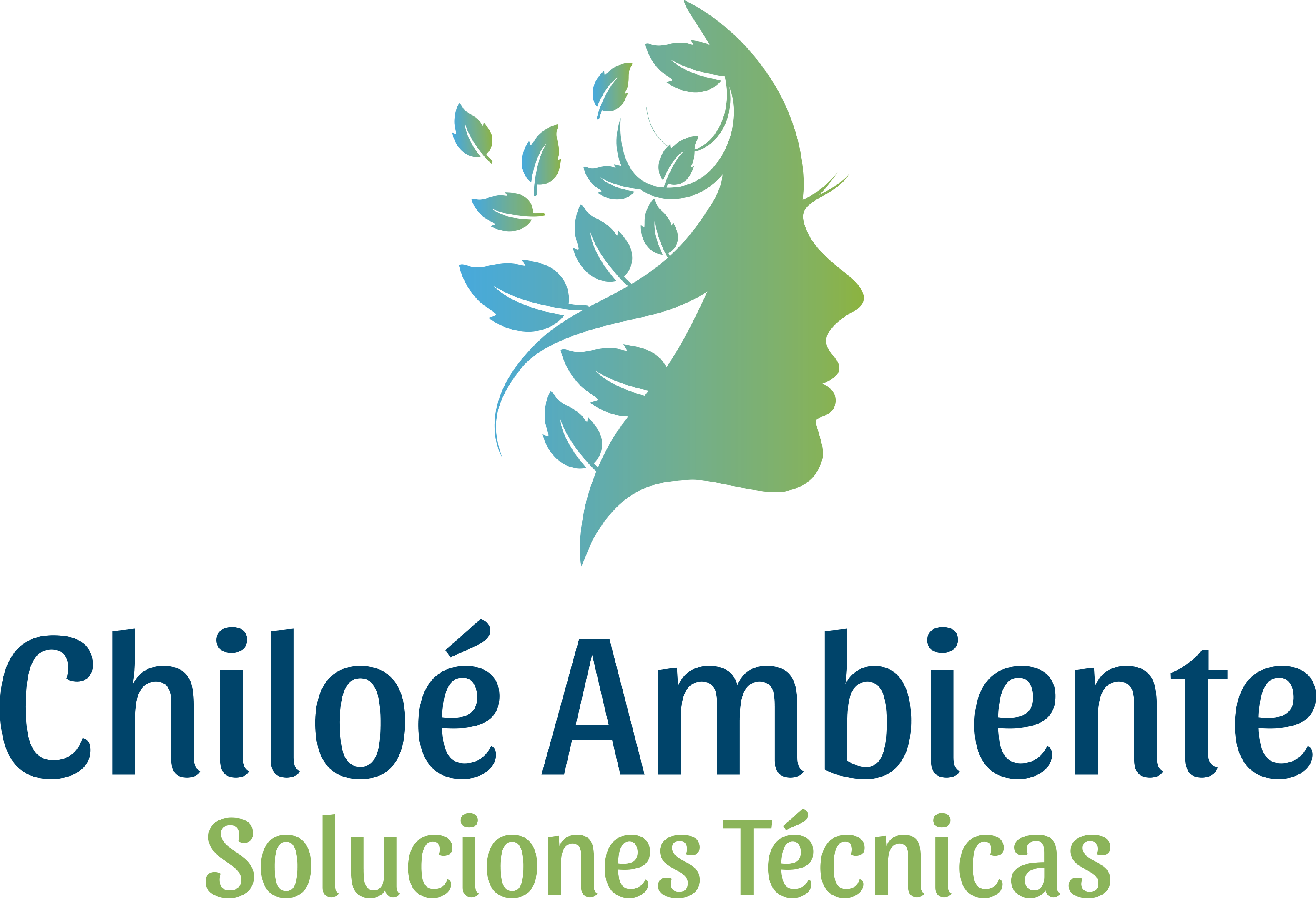 Chiloé Ambiente